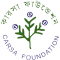 CARSA Foundation, NGO